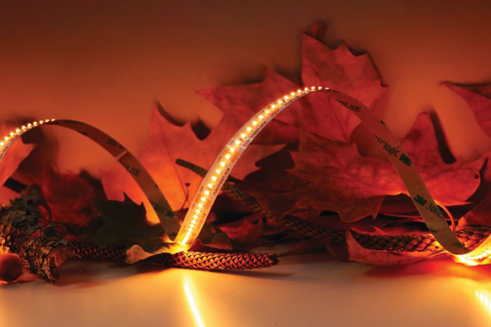 1310221.1518_157748061740070