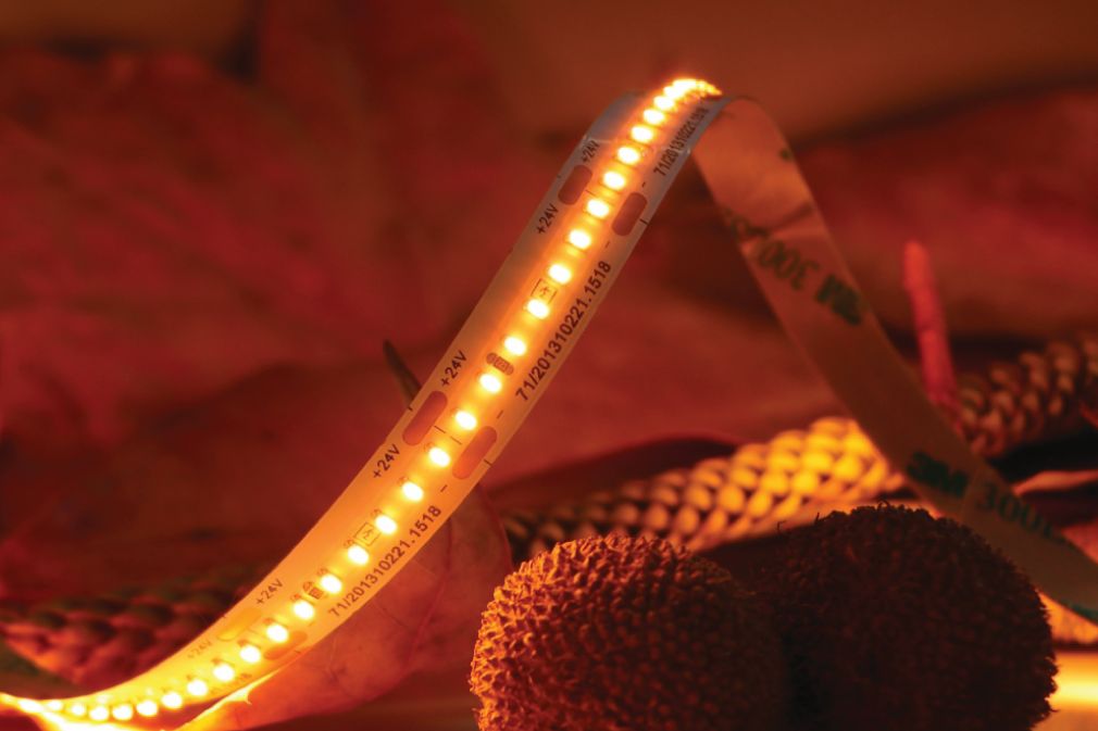 1310221.1522_142892503188872