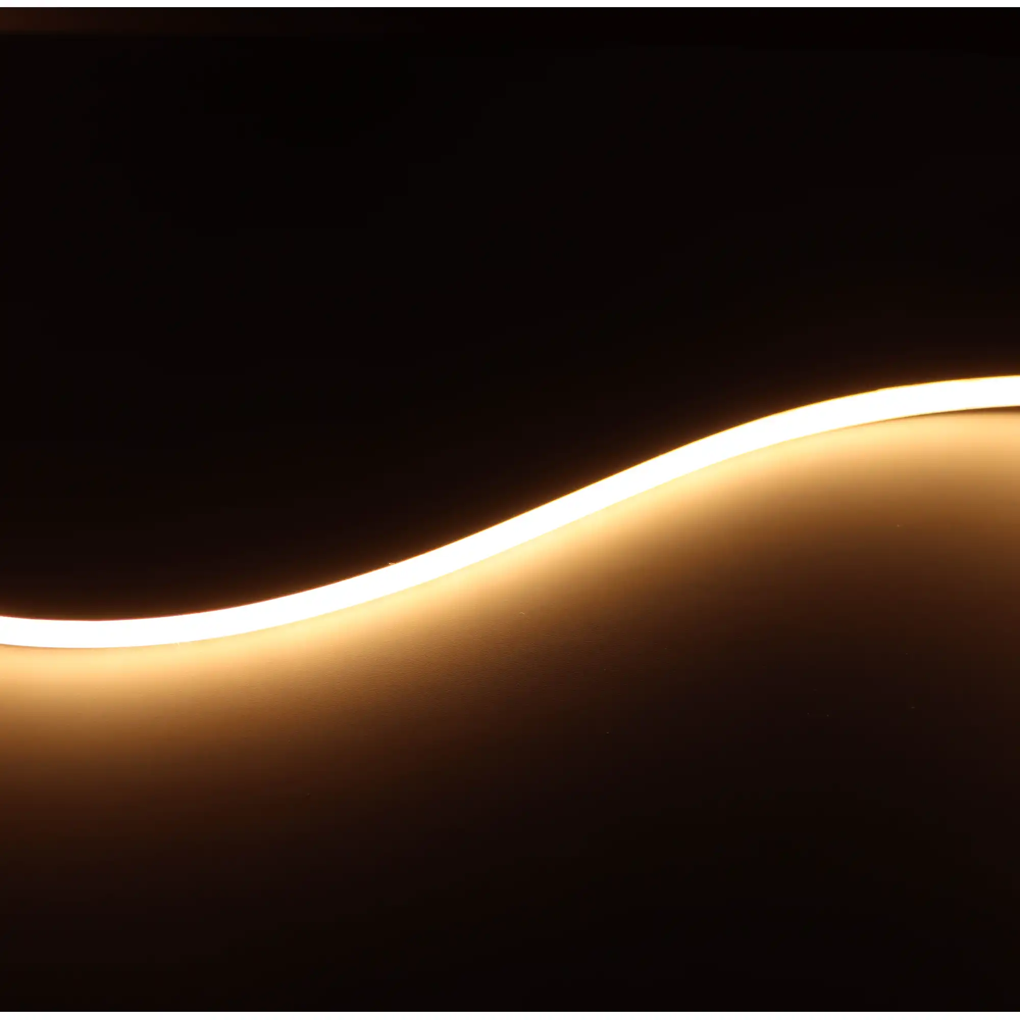 13231441.1430_81809498012228