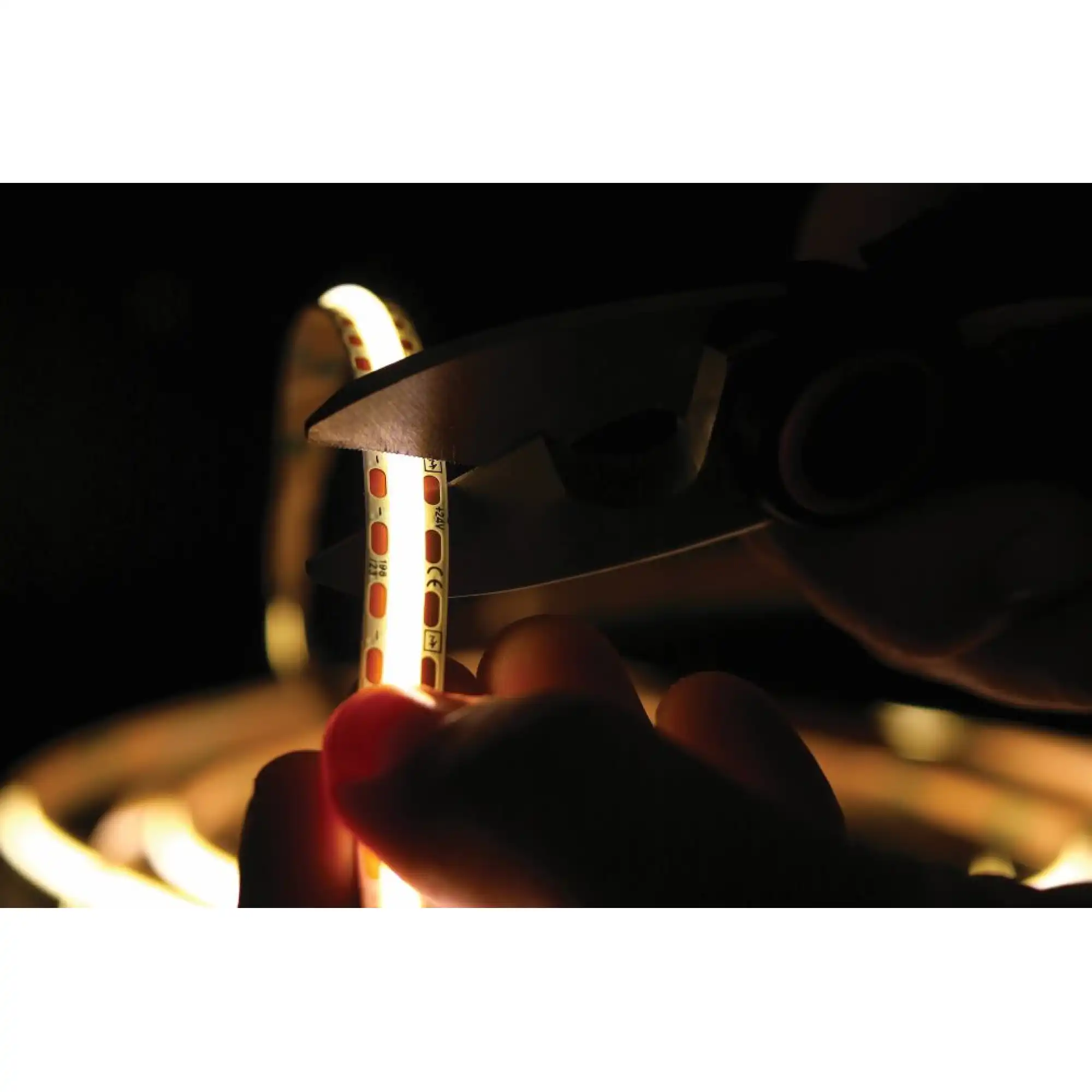 13285171.1140_118270516834959