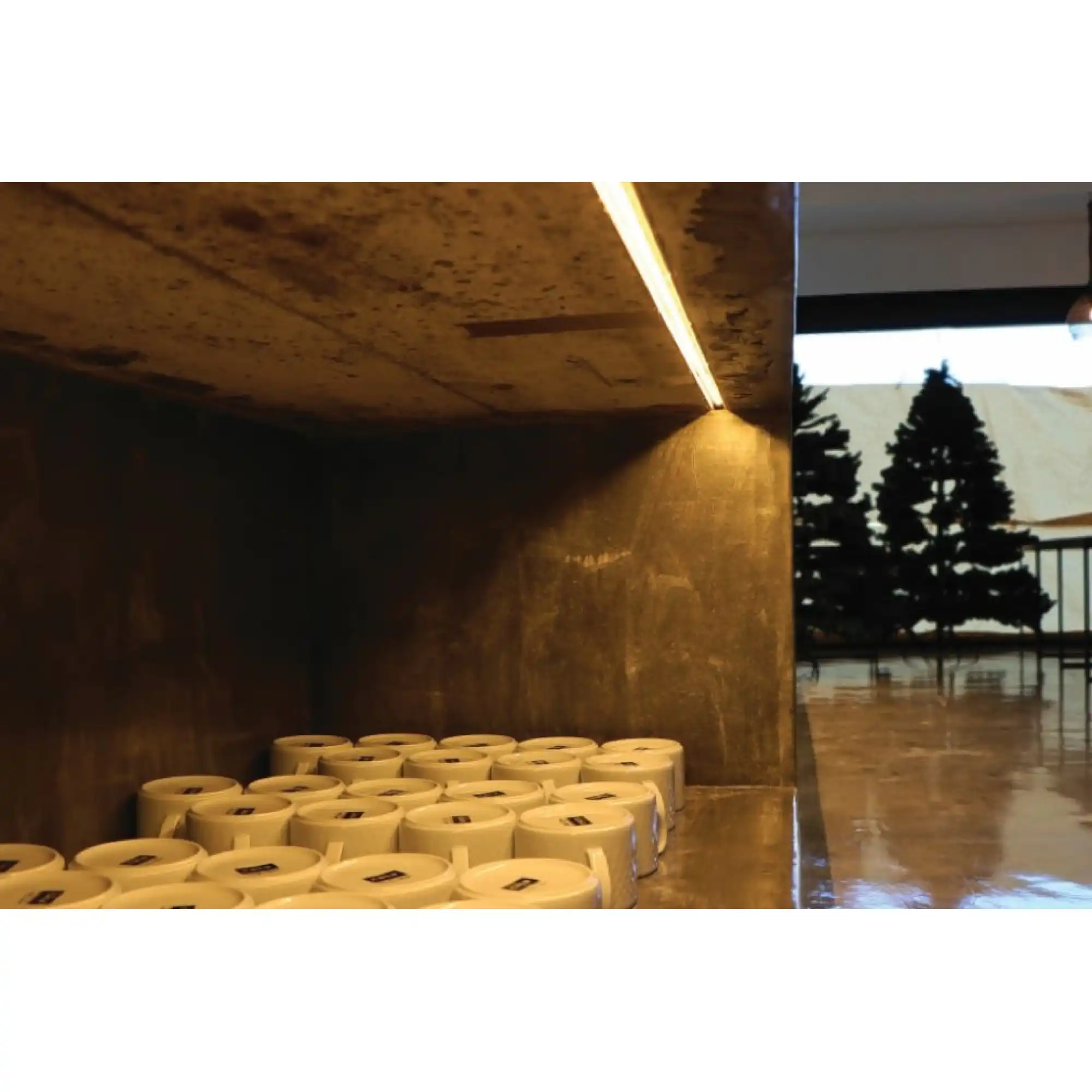 13371411.1630_23151607542556