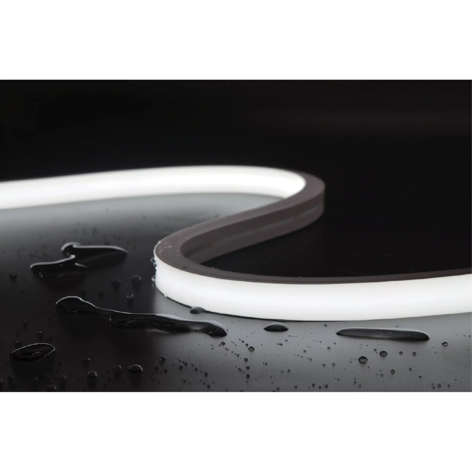 13613136.1027_82778161324336