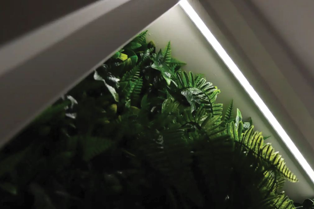 139741.0740_24119007156450