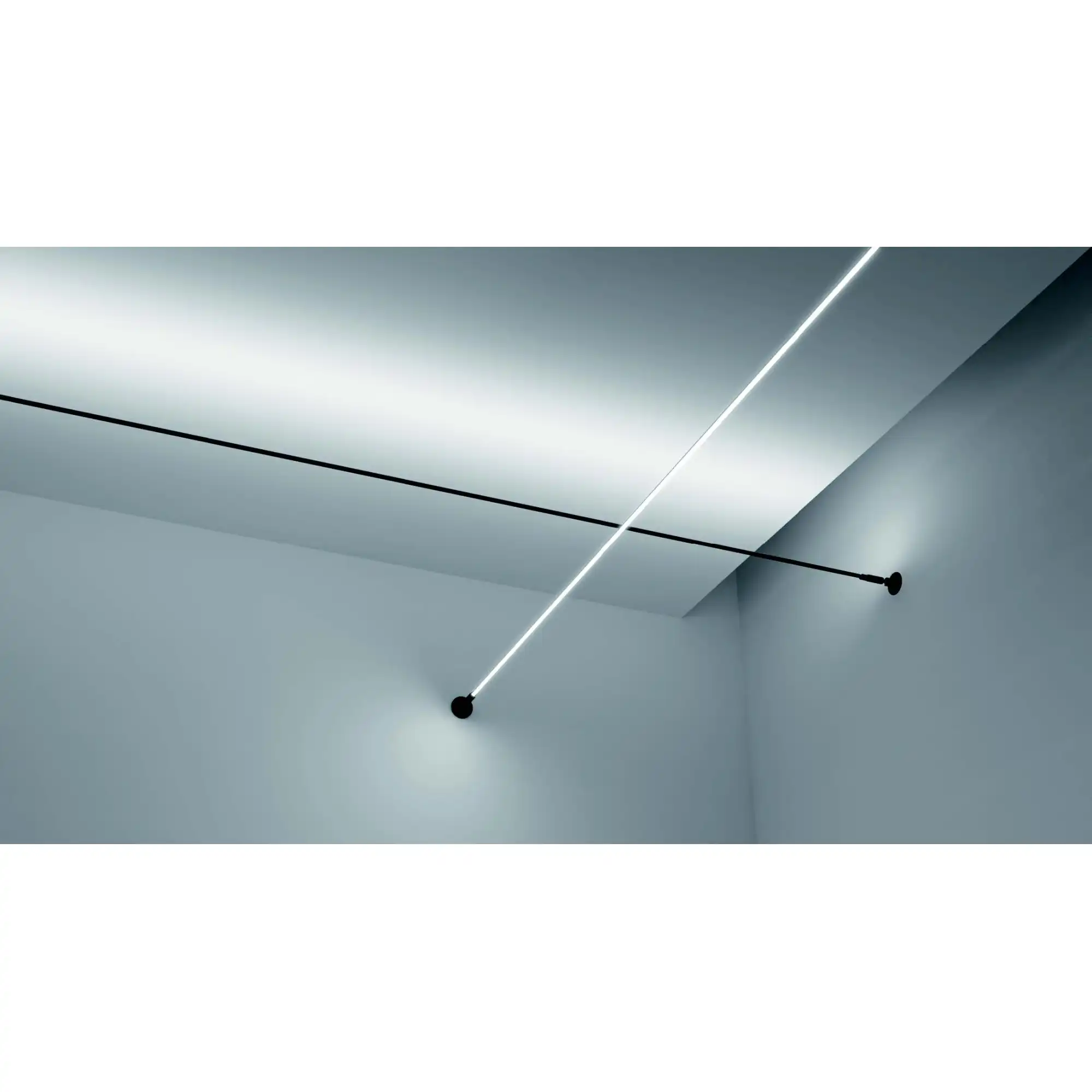 195124.1027_121881904834185