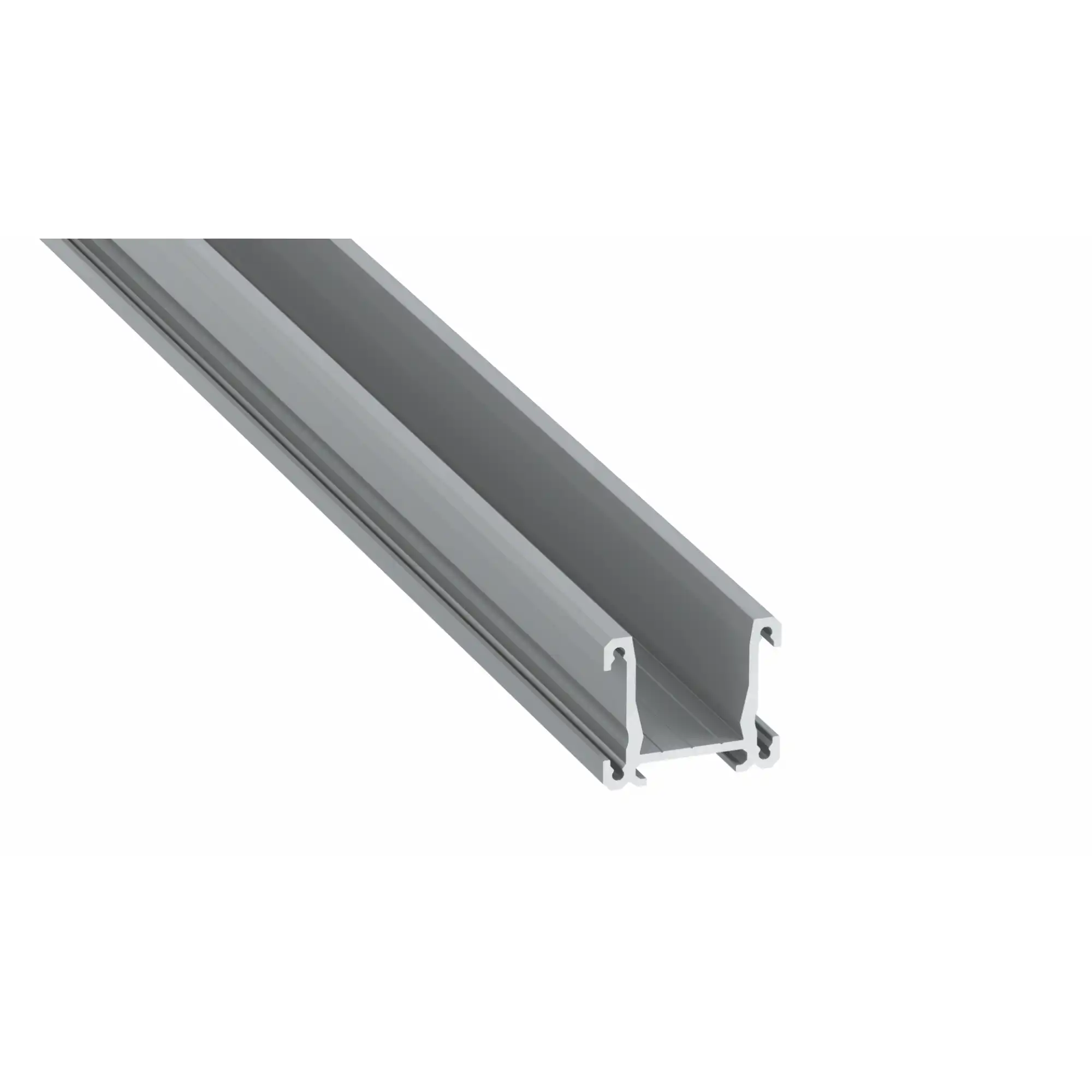 PFA11081_26438693825061