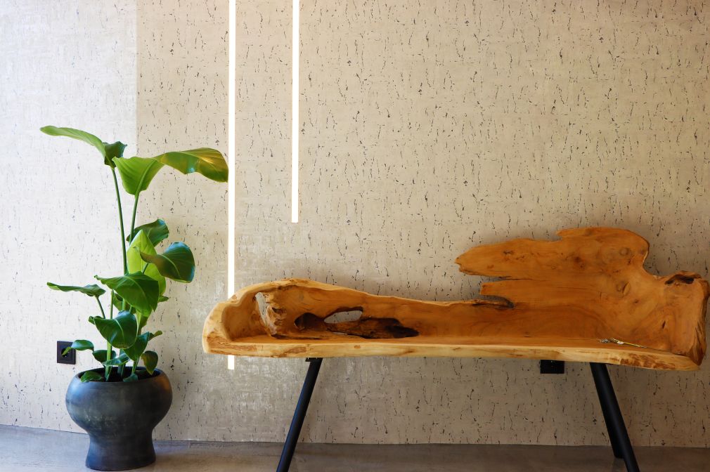 PFA8821_156908444802580