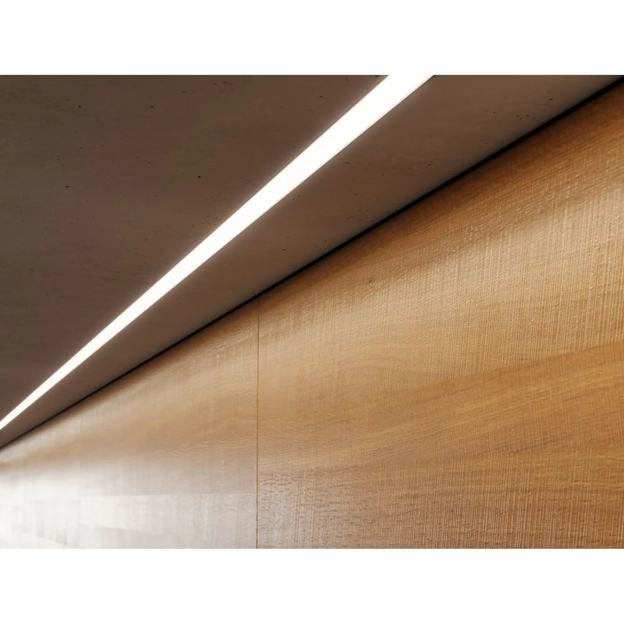 TP8771_167152049793936